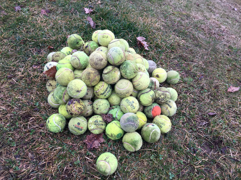 Aktion Läbhag – Helfer gesucht (10.3.2018)